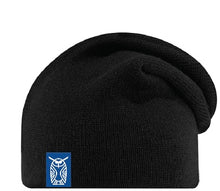 Load image into Gallery viewer, Badlands Slouchy Beanie
