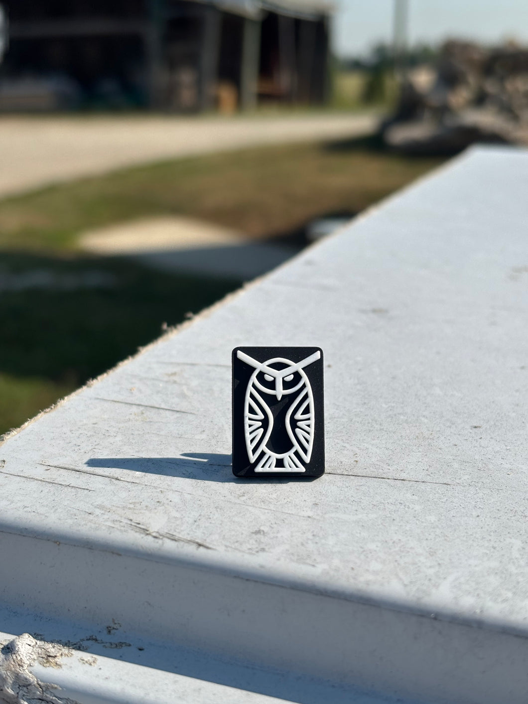 Badlands Owl Shoe Charm