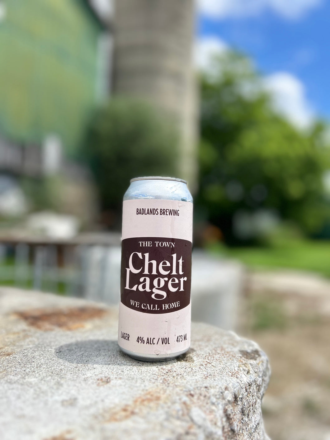 4 Pack - Chelt Lager 2025 (1 Different Beer) (4 Pack - DELIVERY ONLY)