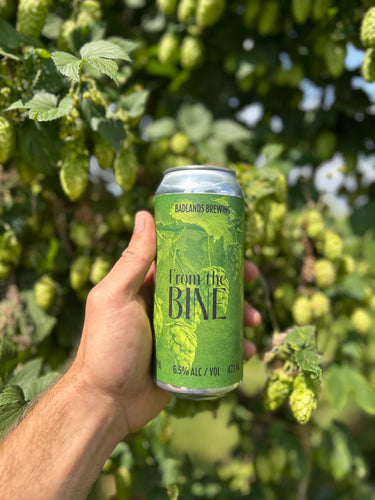 From the Bine (2025) - IPA - 6.5% ABV (4 Pack)