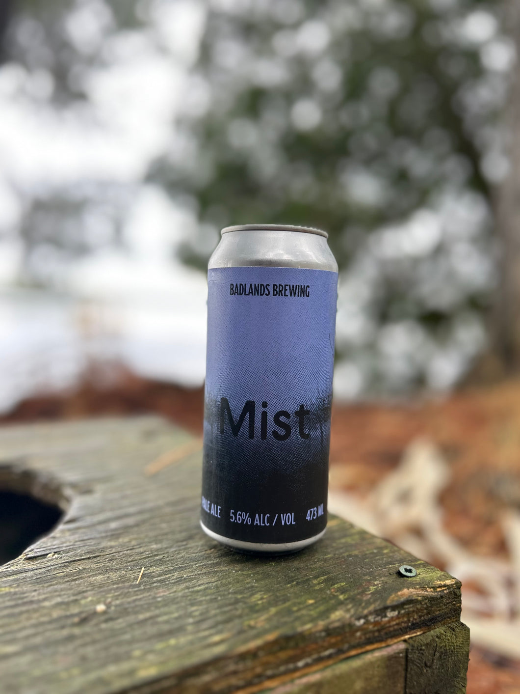 Mist (2025) - Pale Ale - 5.6% ABV (4 Pack)