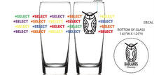 Load image into Gallery viewer, #SELECT 2026 16oz Glass