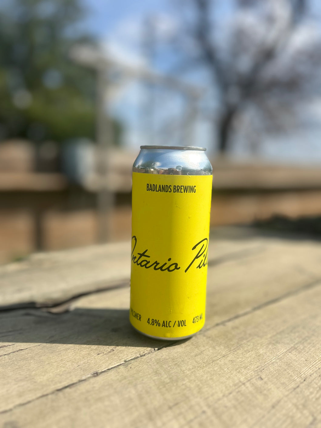 Ontario Pils (2025) - 4.8% ABV (4 Pack)