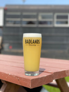 Badlands 20oz Tumbler