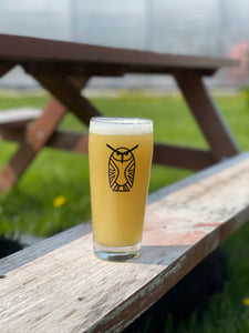 Badlands 20oz Tumbler