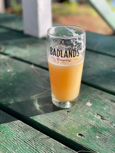 Badlands 20oz Tumbler