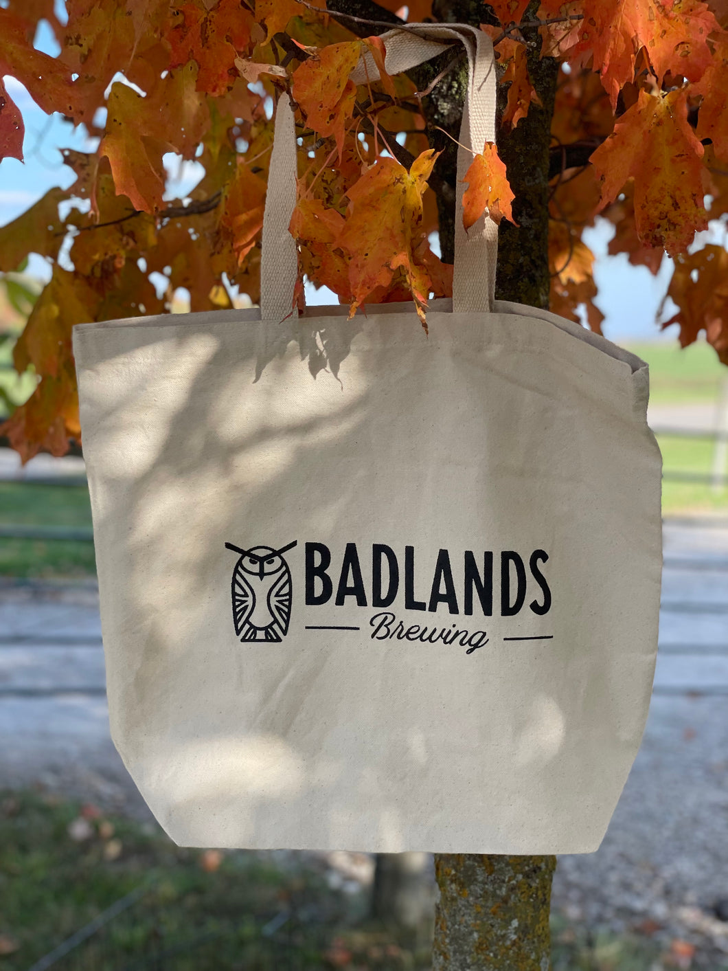 Badlands Tote